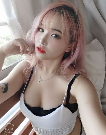 县令黄马褂 电视剧免费观看_高清在线视频观看