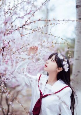 君子好逑韩国_BD国语免费观看最新
